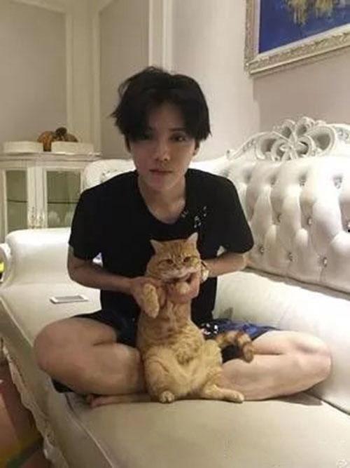 鹿晗跑车爆料事件视频,揭秘明星豪车背后的争议瞬间
