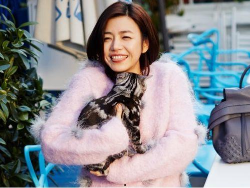 陈妍希穿衣爆料视频,时尚穿搭背后的故事