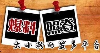 重庆投稿最新爆料,最新动态揭秘