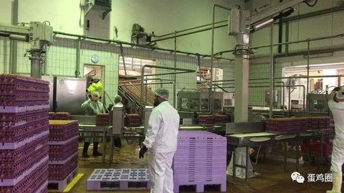 雪莲加工厂爆料视频大全,爆料视频大全深度解析  第1张