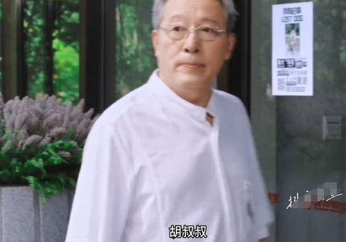 胡歌爆料孙莉视频,揭秘明星夫妻背后的故事  第2张