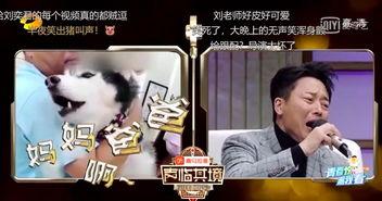 刘奕君直播爆料视频合集,精彩爆料视频合集回顾  第2张