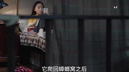 笛子姐姐爆料视频大全集,揭秘幕后故事与精彩瞬间