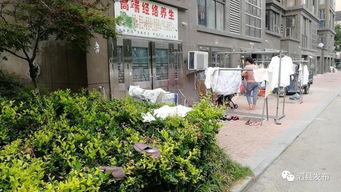 利川小区物业最新爆料,揭秘小区管理背后的真相