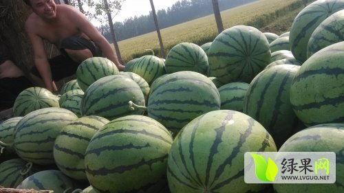 湘潭网红最新吃瓜新闻,揭秘幕后真相与热门事件