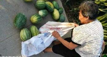 湘潭网红最新吃瓜新闻,揭秘幕后真相与热门事件 第2张 湘潭网红最新吃瓜新闻,揭秘幕后真相与热门事件 第2张