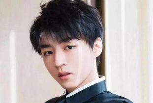 爆料娱乐圈王俊凯,揭秘明星背后的故事 第2张 爆料娱乐圈王俊凯,揭秘明星背后的故事 第2张