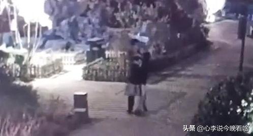 吃瓜宗门完整版免费,免费完整版大揭秘,带你领略神秘门派风采 第2张 吃瓜宗门完整版免费,免费完整版大揭秘,带你领略神秘门派风采 第2张