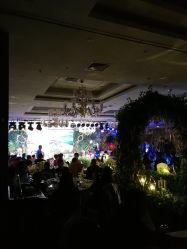 光明渔港爆料视频播放,揭秘海鲜市场幕后真相