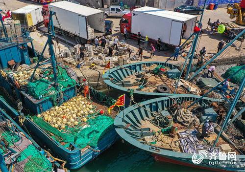 光明渔港爆料视频播放,揭秘海鲜市场幕后真相  第3张