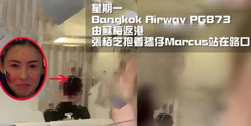 张柏芝爆料碰瓷视频播放,一场网络谣言的发酵  第3张