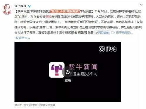 枞阳新闻爆料网站官网  第2张