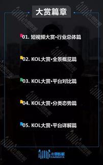 爆料行业视频大全最新,最新爆料视频大全深度解析