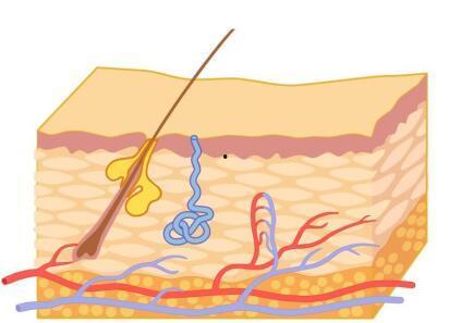 爆炸新闻和爆料的区别在哪,揭秘两者本质差异  第3张