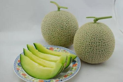 娱乐家吃瓜,揭秘明星们的“吃瓜”日常  第3张