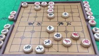 象棋小仙女爆料视频大全,揭秘棋坛女神幕后故事