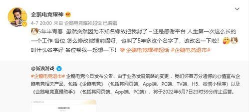 没有粉丝怎么爆料视频号,零粉丝也能爆红！揭秘视频号无粉丝爆料技巧  第2张