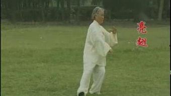 驴拳完整版在线观看,驴拳完整版在线观看深度解析  第3张