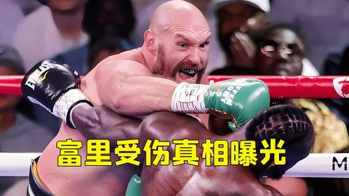 泰森富里最新爆料,备战拳击巅峰对决背后的故事  第2张