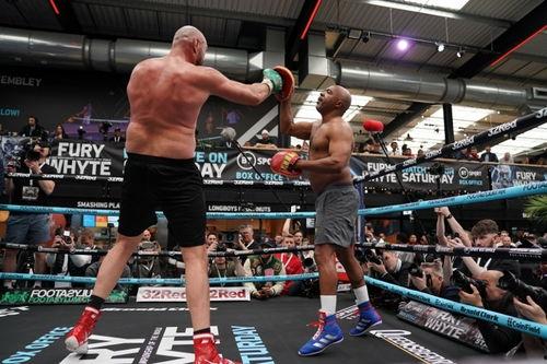 泰森富里最新爆料,备战拳击巅峰对决背后的故事  第3张