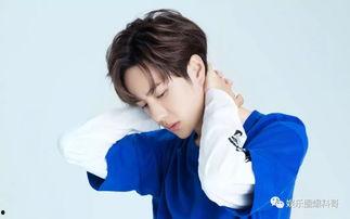 娱乐圈最新爆料刘诗诗,娱乐圈再掀波澜  第2张