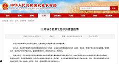 云南热点爆料新闻视频,揭秘神秘事件背后的真相  第3张