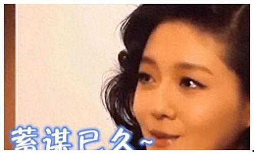 娱乐圈最新爆料假结婚,明星夫妻疑假结婚，真相令人咋舌！  第3张