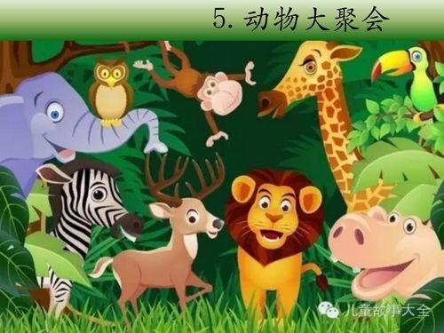 颜色动物爆料怎么做视频,视频制作攻略，捕捉自然之美  第2张