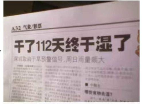 网友爆料新闻标题怎么写,揭秘新闻标题背后的真实故事