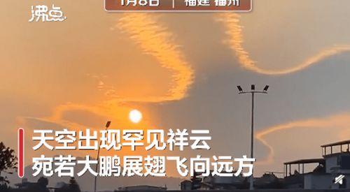 大理祥云最新爆料,大理祥云最新爆料揭秘 第3张 大理祥云最新爆料,大理祥云最新爆料揭秘 第3张