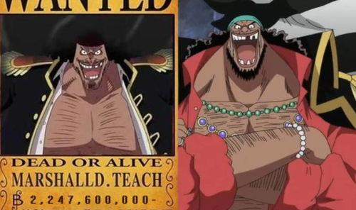 巴哥黑胡子爆料视频,内幕大曝光！