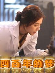 四百年的梦在线观看,穿越时空的奇幻之旅