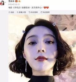 范冰冰偷税爆料视频,揭秘娱乐圈税务乱象  第3张