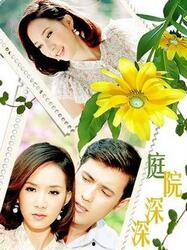 泰剧绝味风配在线观看,一场味蕾与爱情的浪漫邂逅