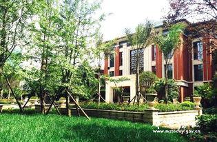 唐河梦想家园爆料视频,社区生活全景呈现