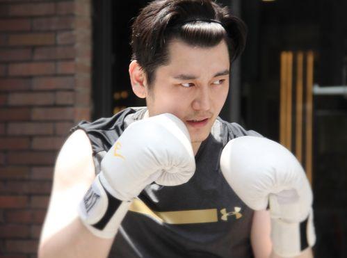 庄家欣爆料视频大全,揭秘娱乐圈幕后真相