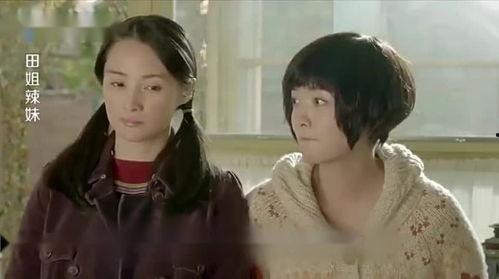 田姐辡妹在线观看,姐妹情深，在线观看解锁温馨家庭故事