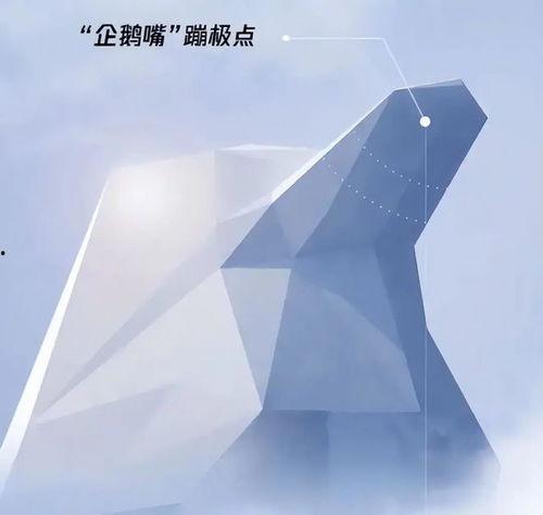 南极最新爆料视频网,揭秘神秘冰原下的秘密世界  第2张