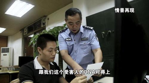 老陈最新爆料消息今天新闻,今日新闻焦点深度解析