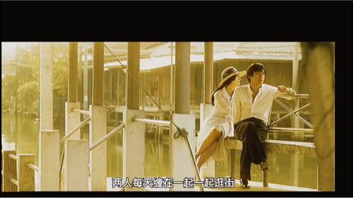 再见总有一天在线观看,穿越时光的约定  第3张