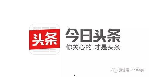 今日头条文化爆料,文化爆料背后的故事与影响  第2张