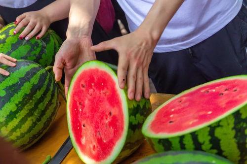 吃瓜碰杯视频大全免费观看,全网热门！吃瓜碰杯视频大全免费畅享  第3张