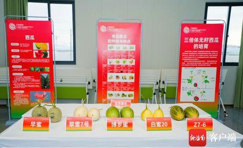 吃瓜网站入口免费观看,吃瓜网站入口带你开启娱乐盛宴  第3张