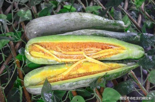 库尔勒吃瓜网红有哪些,揭秘瓜城网红们的瓜界传奇 第2张 库尔勒吃瓜网红有哪些,揭秘瓜城网红们的瓜界传奇 第2张