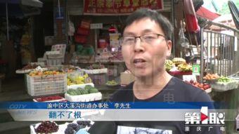 新闻新鲜爆料,最新热点事件幕后真相曝光