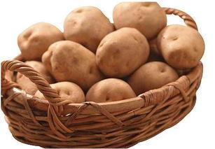 娱乐吃瓜小金土豆,揭秘吃瓜群众背后的土豆人生  第3张