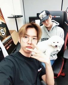 娱乐吃瓜酱男孩,揭秘娱乐圈背后的故事与趣闻 第3张 娱乐吃瓜酱男孩,揭秘娱乐圈背后的故事与趣闻 第3张