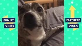 抖音幽默爆料视频大全最新 第3张 抖音幽默爆料视频大全最新 第3张