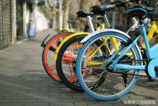 郑州自行车最新爆料