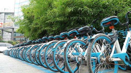 郑州自行车最新爆料  第3张